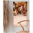 Horses 2026 Wall Calendar WCA104434